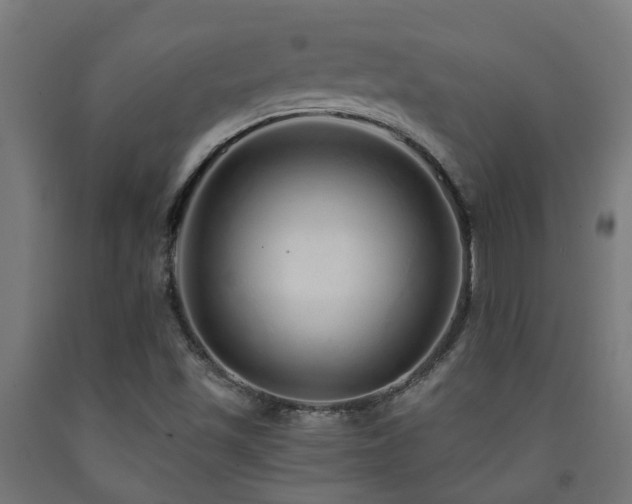 X0000093151501200709261434