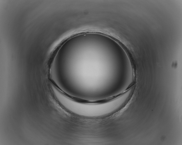 X0000093151502200709261434