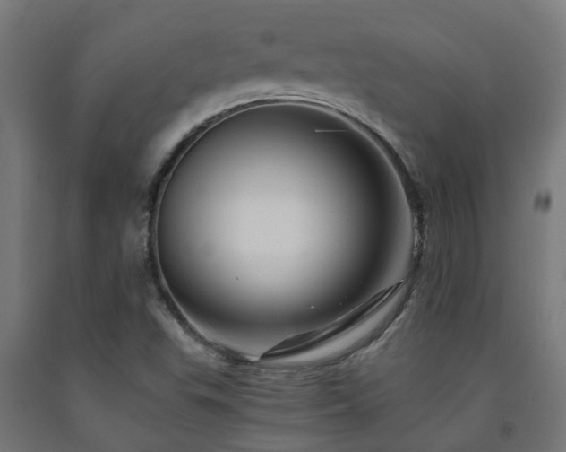 X0000093151503200709261434