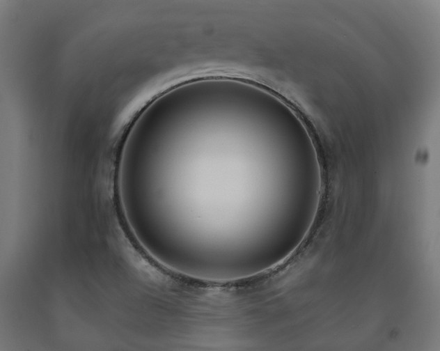 X0000093151504200709261434