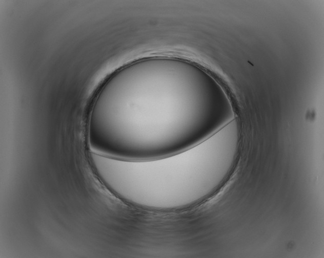 X0000093151506200709261434