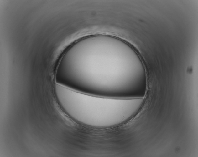 X0000093151507200709261434