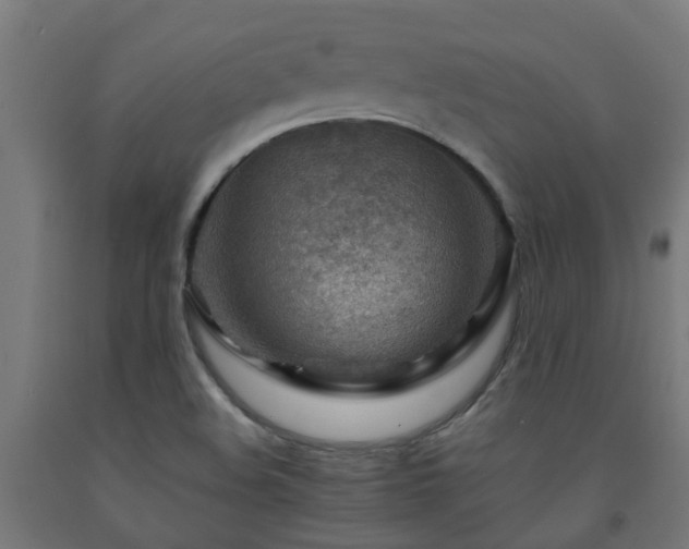 X0000093151508200709261434