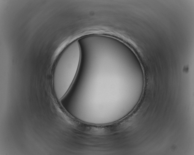 X0000093151509200709261434