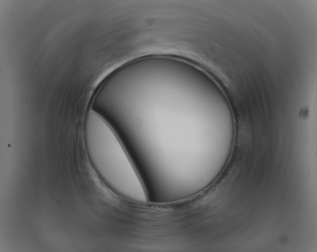 X0000093151513200709261434