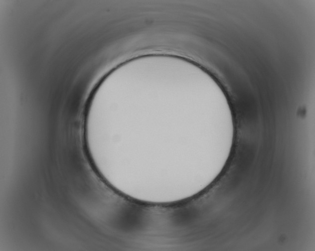 X0000093151514200709261434