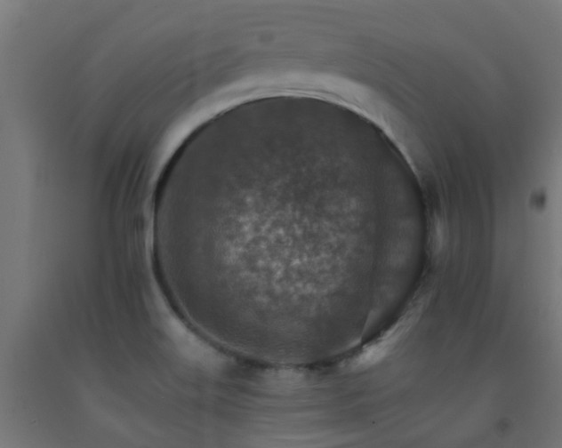 X0000093151515200709261434