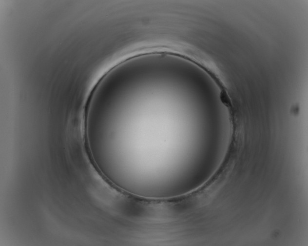 X0000093151516200709261434