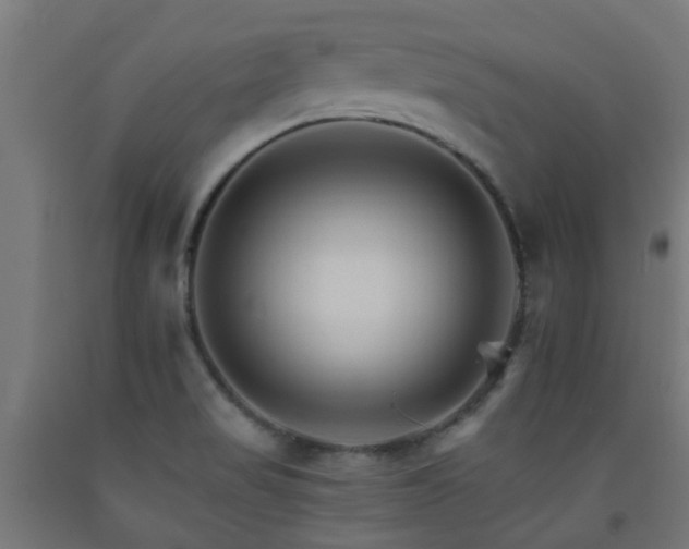 X0000093151517200709261434