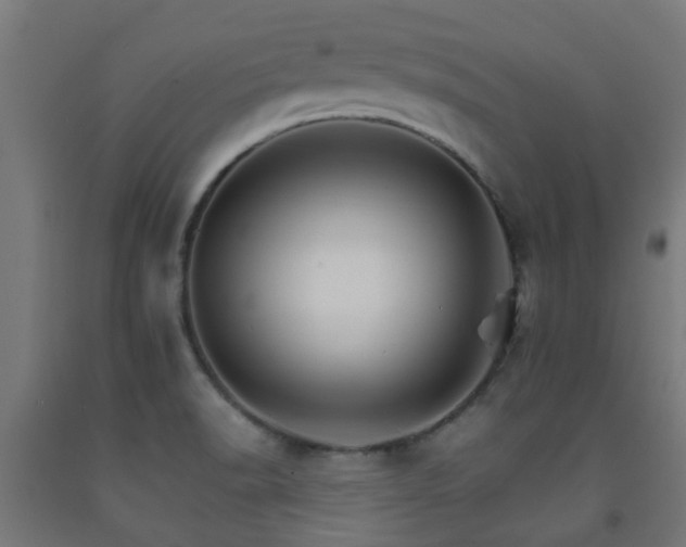 X0000093151518200709261434