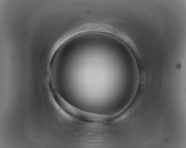 X0000093151520200709261434