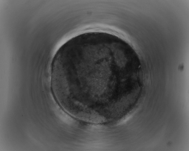 X0000093151522200709261434