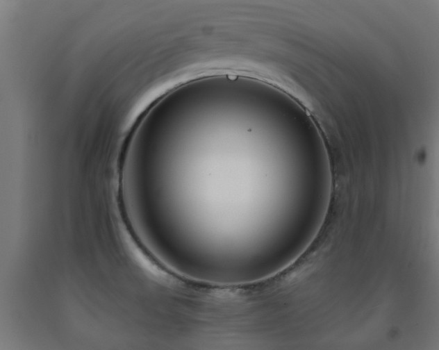 X0000093151523200709261434