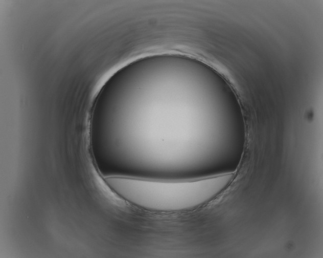 X0000093151524200709261434