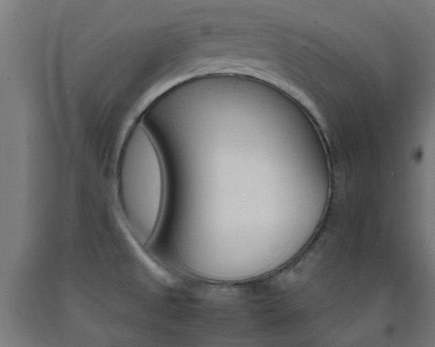 X0000093151525200709261434