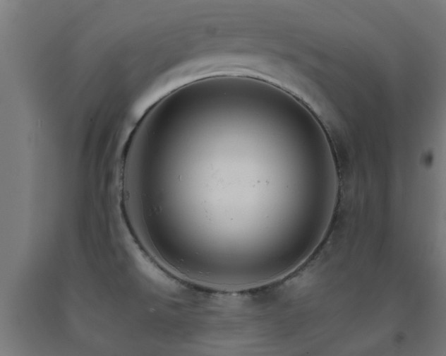 X0000093151526200709261434
