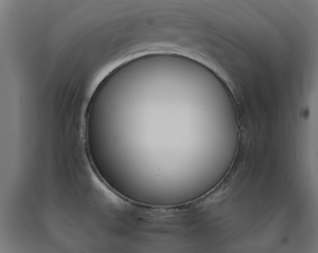 X0000093151527200709261434