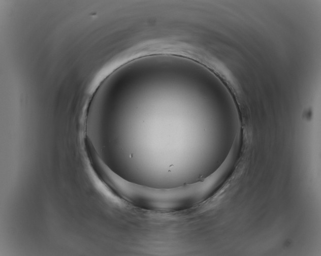 X0000093151528200709261434
