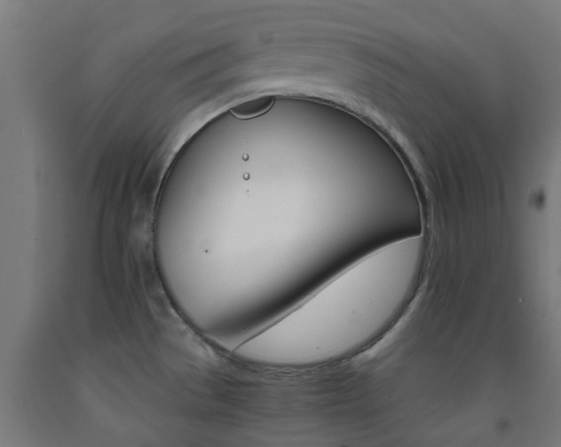 X0000093151529200709261434