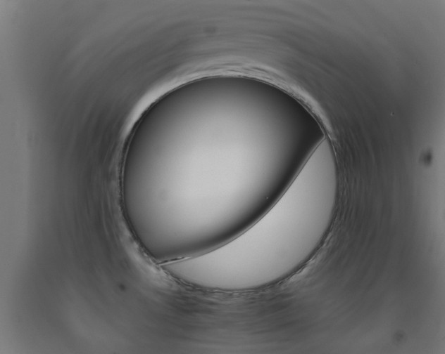 X0000093151530200709261434