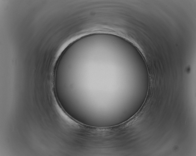X0000093151531200709261434