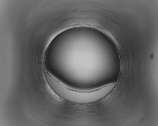 X0000093151532200709261434