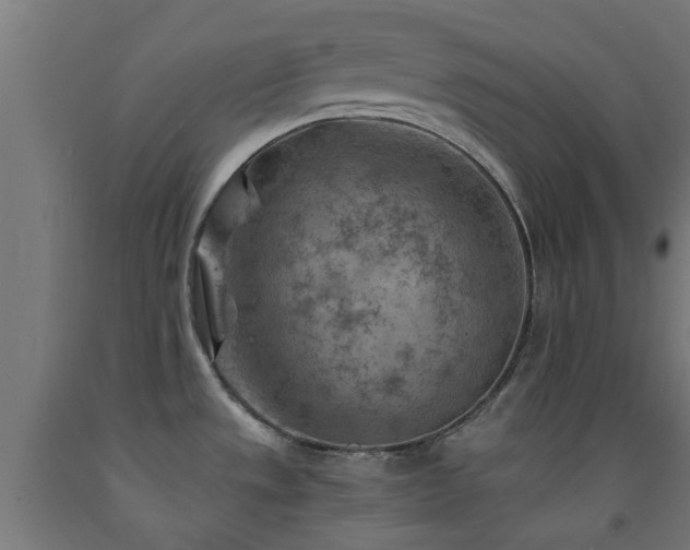 X0000093151533200709261435