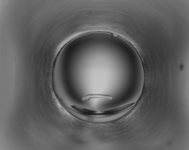 X0000093151534200709261435