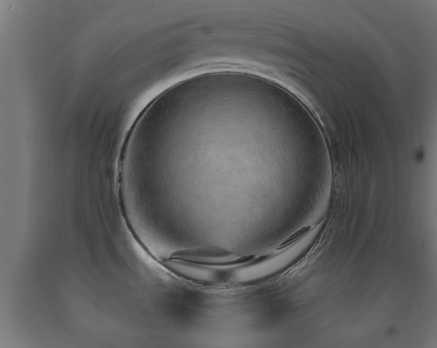 X0000093151535200709261435
