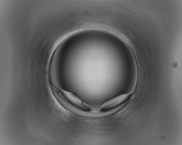 X0000093151536200709261435