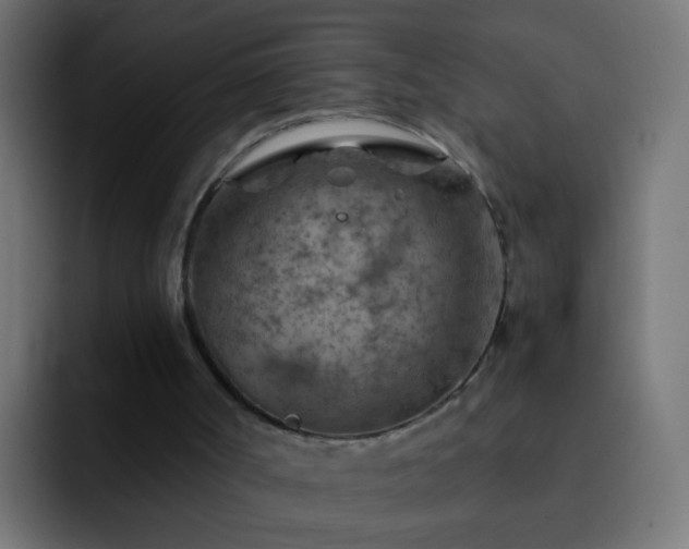 X0000093150002200710031436