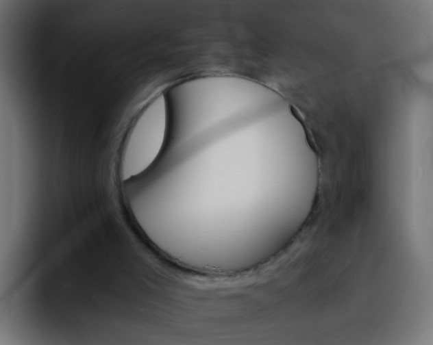 X0000093150005200710031436