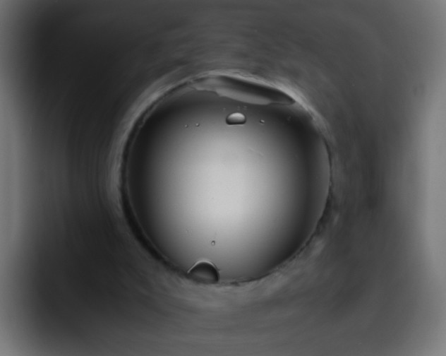 X0000093150007200710031436
