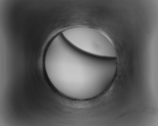 X0000093150008200710031436