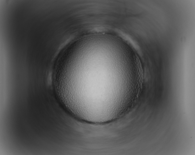 X0000093150010200710031436