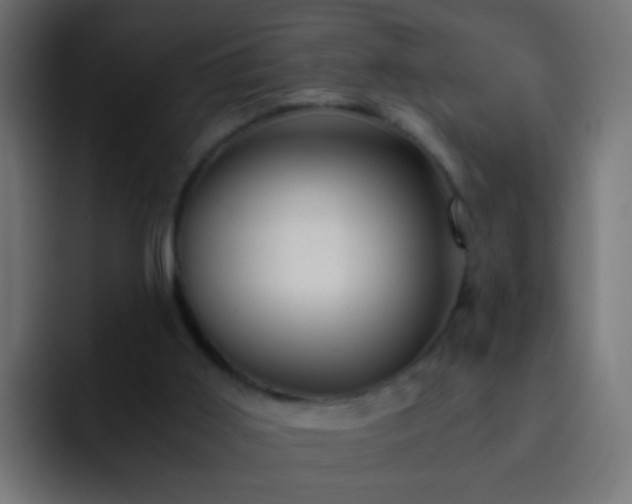 X0000093150011200710031436