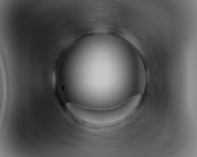 X0000093150013200710031436