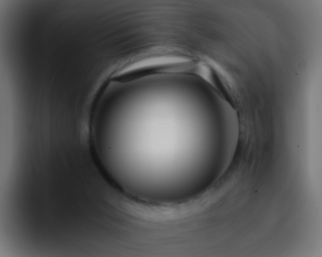 X0000093150015200710031436