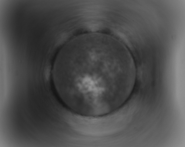 X0000093150018200710031436
