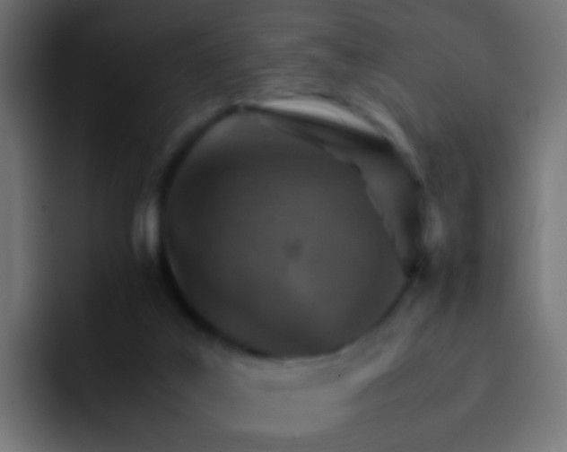 X0000093150019200710031436