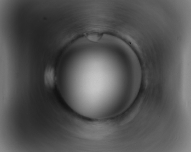 X0000093150020200710031436