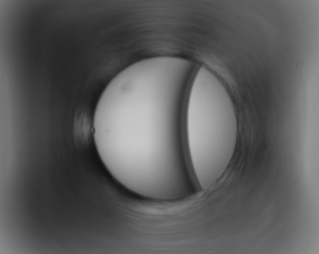 X0000093150021200710031436
