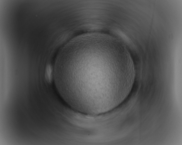 X0000093150022200710031436