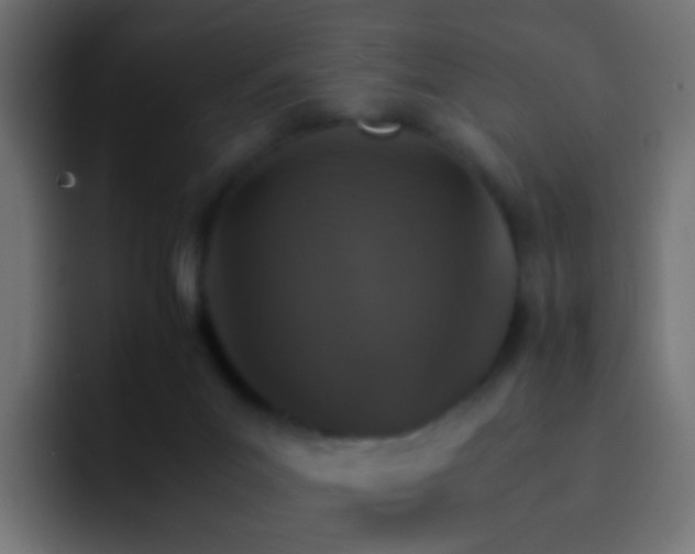 X0000093150023200710031436