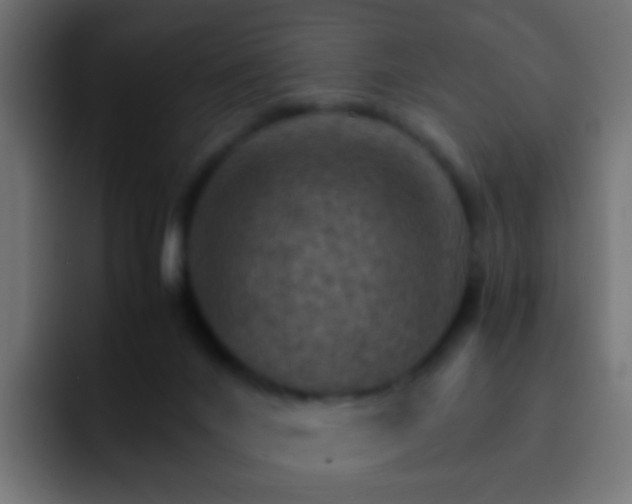 X0000093150024200710031436