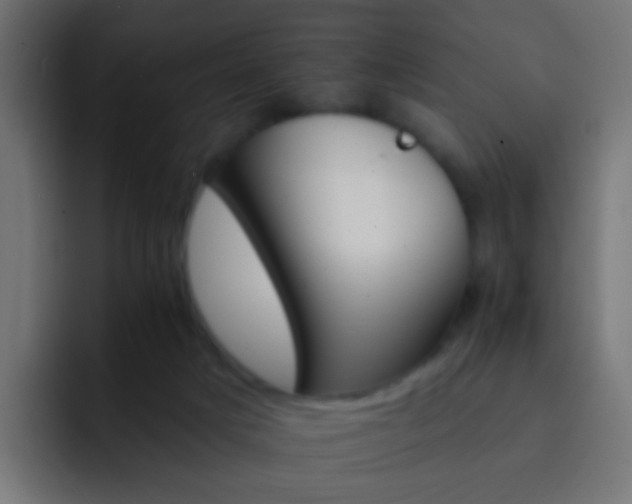 X0000093150025200710031436