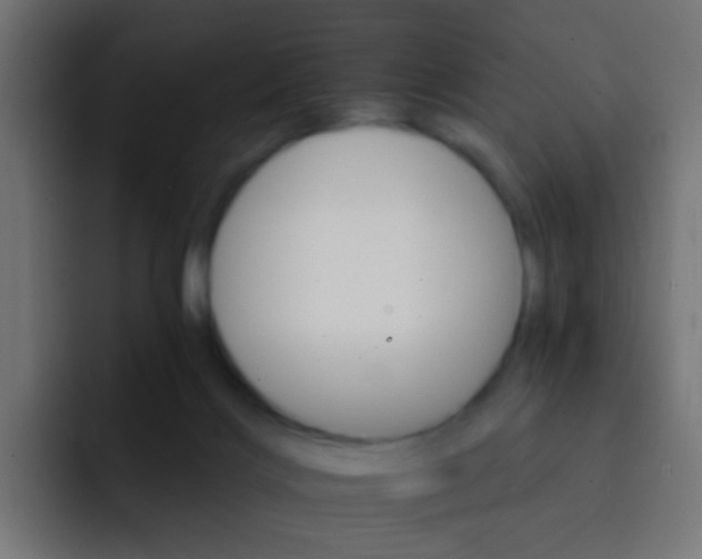 X0000093150028200710031436
