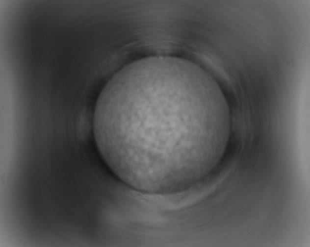 X0000093150030200710031436