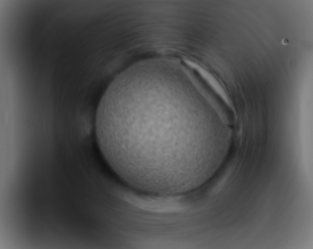 X0000093150032200710031436