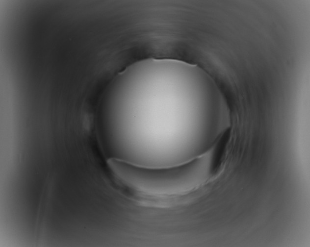 X0000093150033200710031436